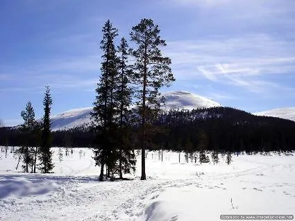 Roehkoestar 108 Appartement *